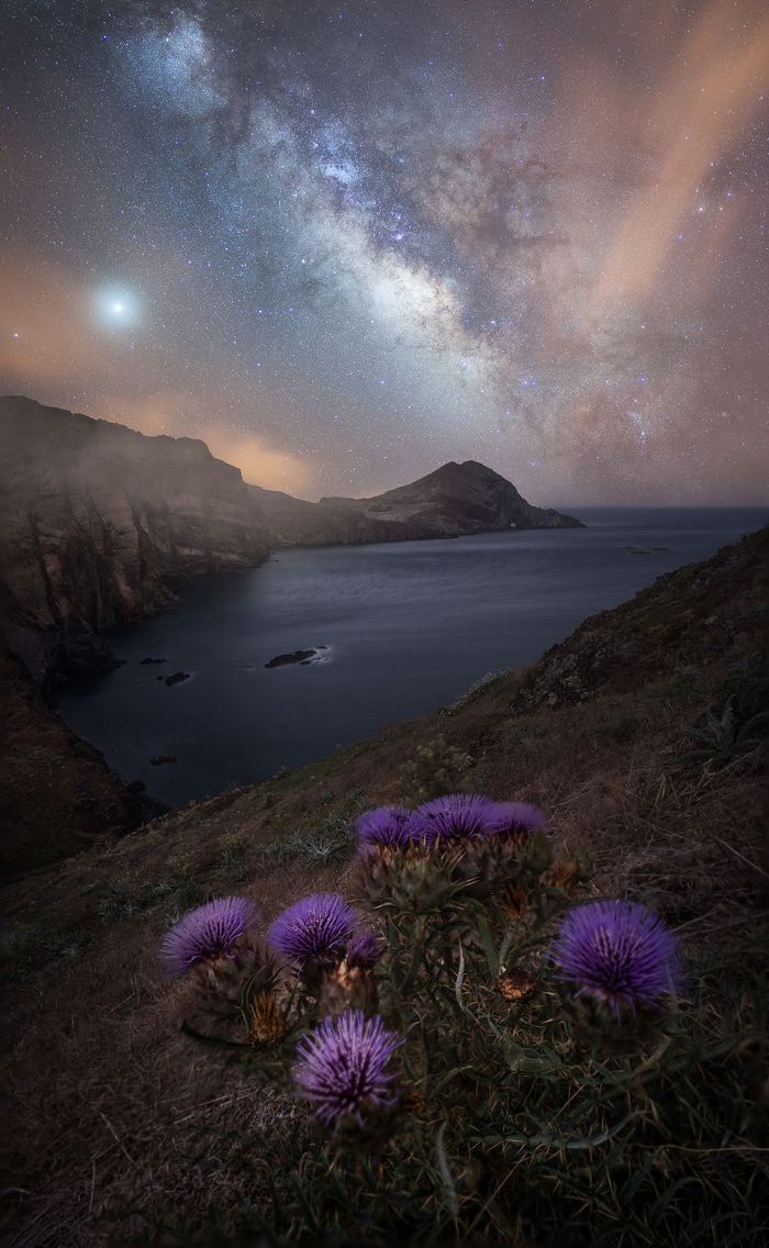 21 fotos de dias e noites de Madeira que são bonitas 10