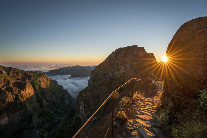 21 fotos de dias e noites de Madeira que são bonitas 20