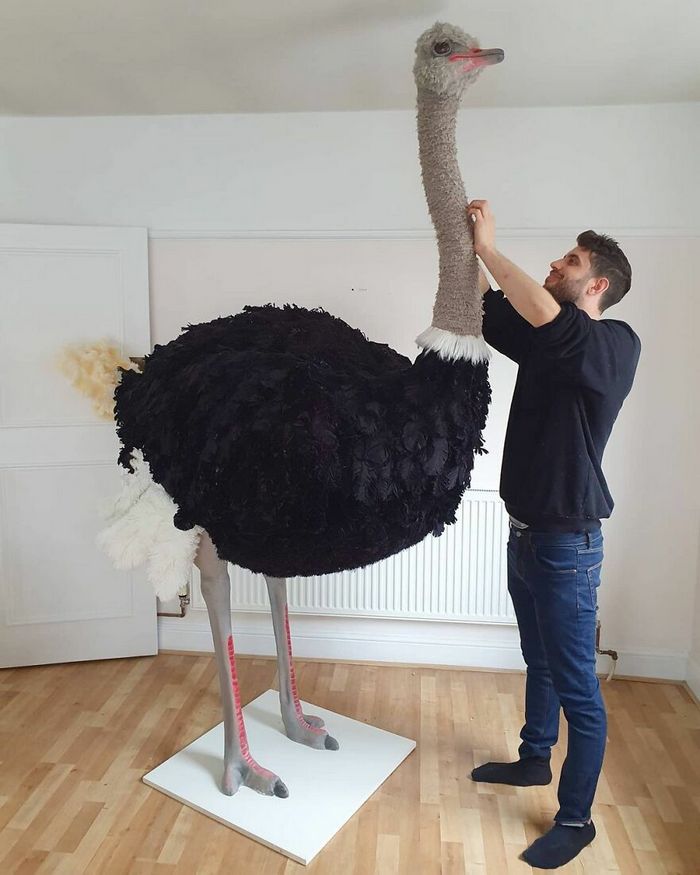 Artista transforma papelão e outros materiais descartados em impressionantes esculturas realistas de animais (22 fotos) 22