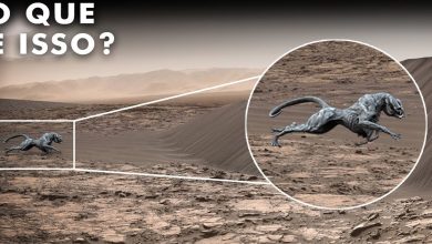 NASA E Elon Musk acabam de fazer uma descoberta aterrorizante em Marte que muda tudo 3