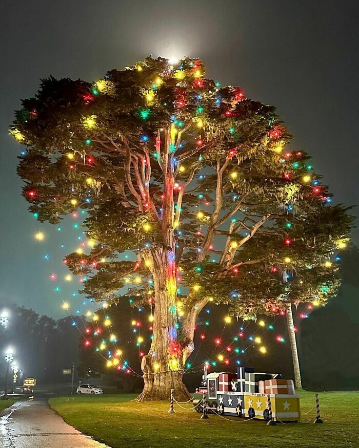 28 árvores de Natal criativas e incríveis 11