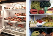 22 fotos de coisas estranhas e bizarras encontradas em geladeiras 32