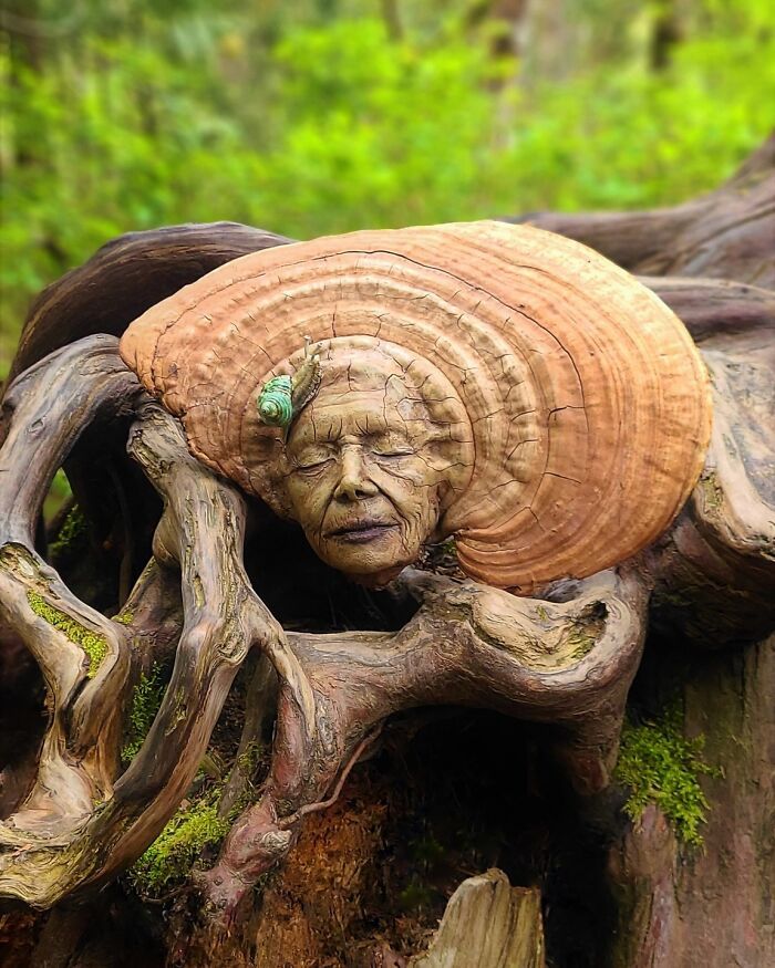 38 impressionantes esculturas de madeira de Debra Bernier 32