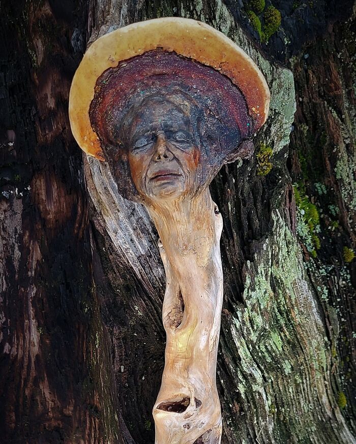 38 impressionantes esculturas de madeira de Debra Bernier 37