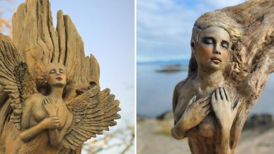 38 impressionantes esculturas de madeira de Debra Bernier 3
