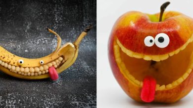 Artista usa comida para criar arte bem humorada (35 fotos) 43