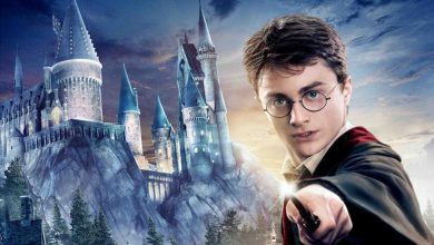 Trazendo magia à vida: 30 ideias fictícias para transformar a história de Harry Potter 1
