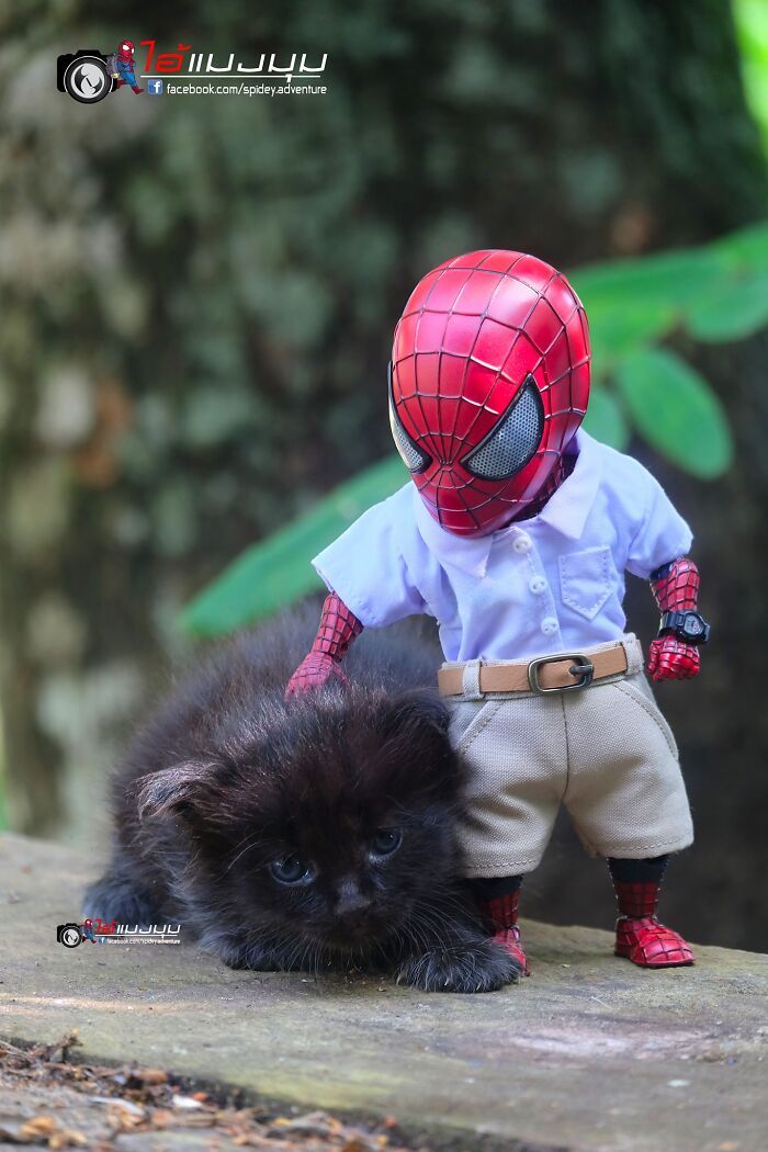 42 cenas divertidas: Bebê Homem-Aranha e animais em situações incríveis 36