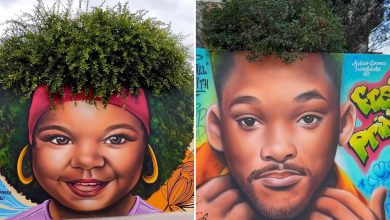 Natureza em retratos: Murais de Fábio Gomes transformam árvores em cabelos artísticos (25 fotos) 19