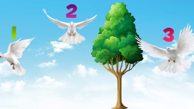 Escolha uma pomba da paz e receba uma bela mensagem de luz 23