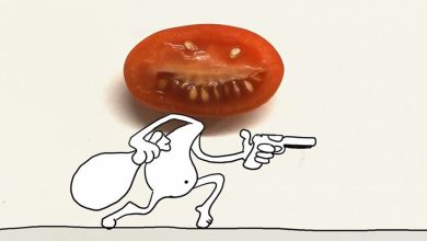 20 ilustrações do Tomate Assassino que surgiu enquanto cortava vegetais para cozinhar 19