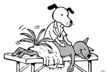22 cartoons virais e sem palavras com cães de Karlo Ferdon 4