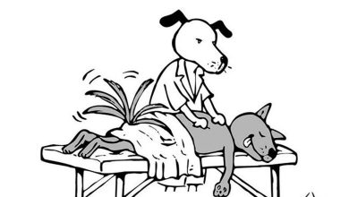 22 cartoons virais e sem palavras com cães de Karlo Ferdon 1