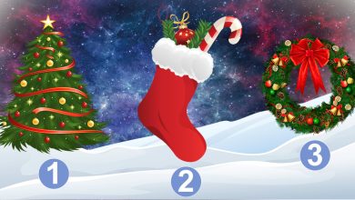 Descubra a mensagem por trás do símbolo de Natal que você escolher 21