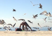Pegadinha com gaivotas na praia 19