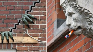 Frankey: O artista que transforma Amsterdã em um playground criativo (38 imagens) 2