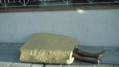 Uma imagem diz tudo. 51