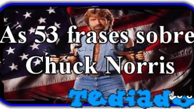 As 53 frases sobre Chuck Norris 2