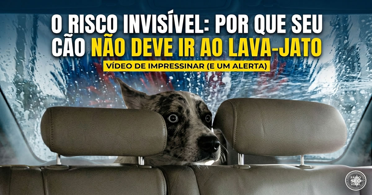 Cachorro dentro do carro no lava-jato? O erro perigoso que quase terminou em tragédia
