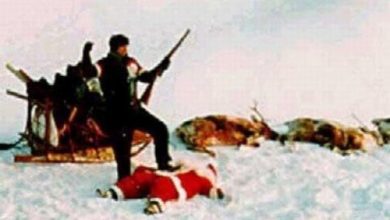 Sem Papai Noel esse ano 7