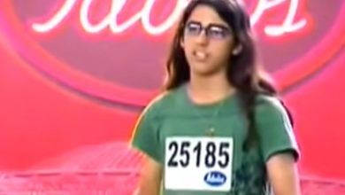 Meu Ursinho Grrrrrrrr 9