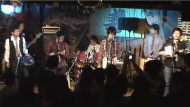 Pagode Japonês, você já viu? 6