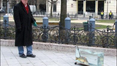 Passeando com seu bichinho de estimação 21