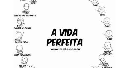 A vida perfeita 9