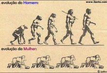 A evolução do Homem e da Mulher 5