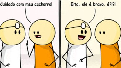 Cuidado com o cão 8