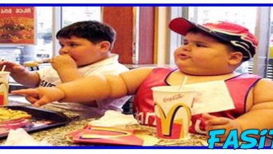 10 frases de gordinhos 7