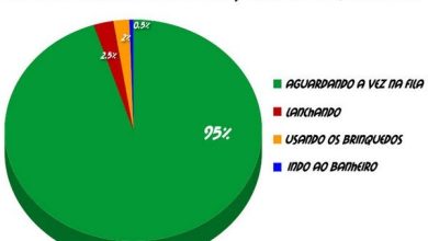 Tempo gasto em parques de diversões 25