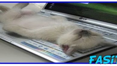 10 Coisas para dizer se você for pego dormindo no trabalho 18