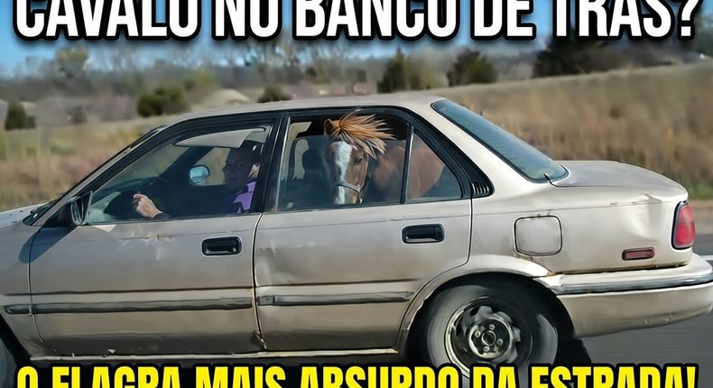 O dia em que pegando uma caroninha levou o absurdo a outro nível na estrada