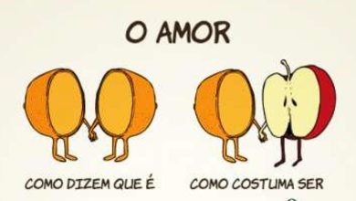 Como é o amor! 6