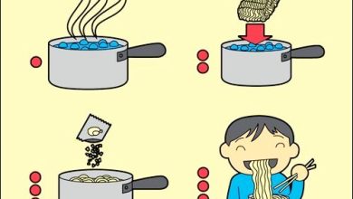 Férias, sinônimo de… 7