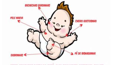 Tudo que você precisa saber sobre os Bebês 25