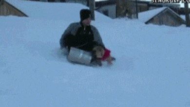 Trenó + cachorro = Fail 9