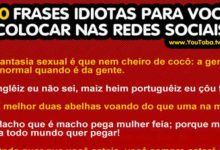 10 frases idiotas para você colocar nas redes sociais 3