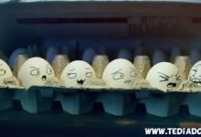 Trollando Ovos 49