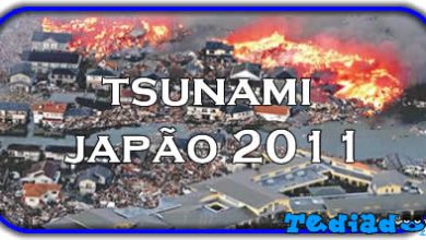 Tsunami Japão 2011 7