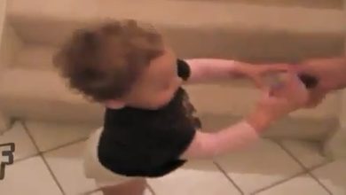 O Filho do Chuck Norris 10