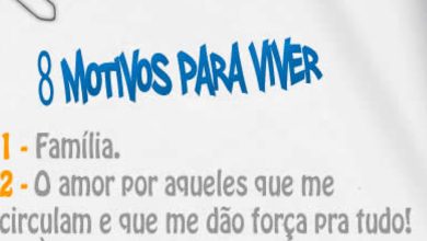 8 motivos para viver 24