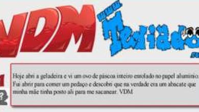 VDM (#6) 19
