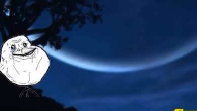 Memes interpretando Caetano Veloso 6