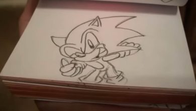 Flipbook Animation: Sonic 17