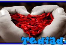 Isso não é amor 16
