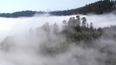 RobertLVI – Robert’s Life 7