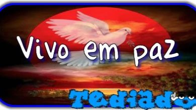 Vivo em paz 7