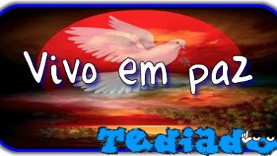 Vivo em paz 24